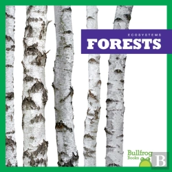 Bertrand.pt - Forests