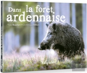 Foret Ardennaise (Dans La)