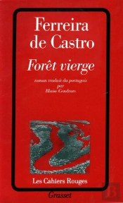 Foret Vierge