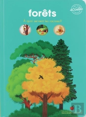 Forêts