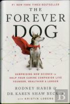 Forever Dog