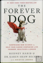 Forever Dog