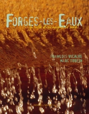 Forges-Les-Eaux, La Ville D'Où Naquit Le Soleil
