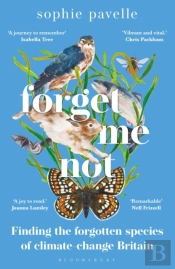Forget Me Not
