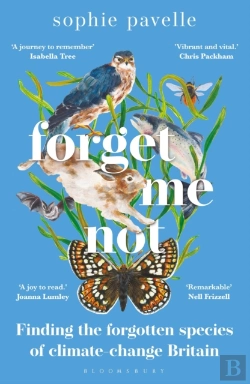 Bertrand.pt - Forget Me Not