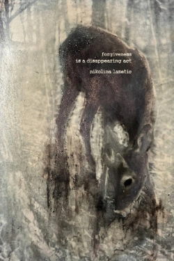 Bertrand.pt - Forgiveness Is A Disappearing Act