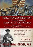 Forgotten Contributions Of Little Africa Soldiers At Fort Wagner