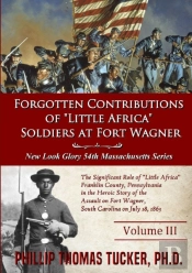 Forgotten Contributions Of Little Africa Soldiers At Fort Wagner