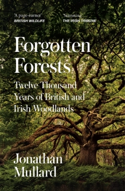 Bertrand.pt - Forgotten Forests