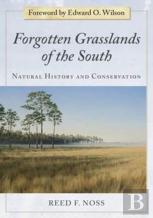 Forgotten Grasslands Of The South
