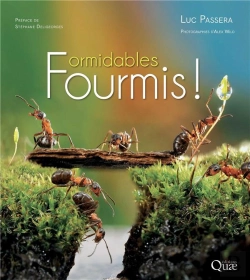 Bertrand.pt - Formidables Fourmis !