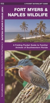 Fort Myers & Naples Wildlife