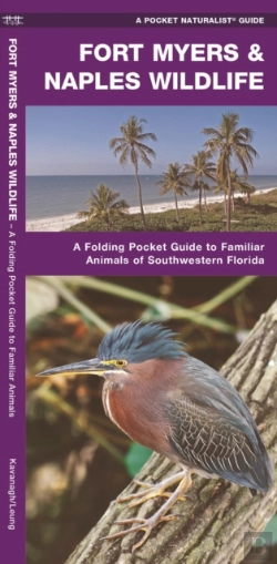Bertrand.pt - Fort Myers & Naples Wildlife