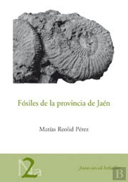 Bertrand.pt - Fósiles De La Provincia De Jaén