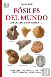 Fosiles Del Mundo