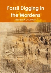 Fossil Digging In The Mordens