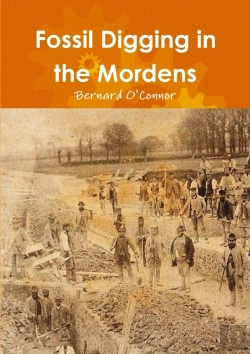 Bertrand.pt - Fossil Digging In The Mordens