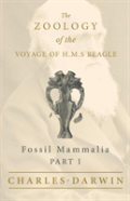 Fossil Mammalia - Part I - The Zoology Of The Voyage Of H.M.S Beagle