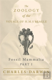 Fossil Mammalia - Part I - The Zoology Of The Voyage Of H.M.S Beagle