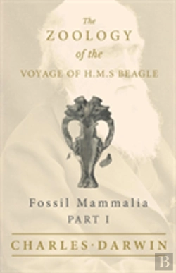 Bertrand.pt - Fossil Mammalia - Part I - The Zoology Of The Voyage Of H.M.S Beagle