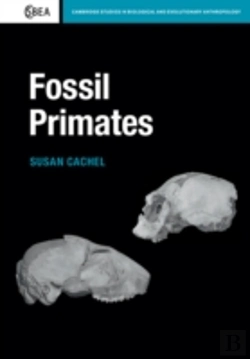 Bertrand.pt - Fossil Primates