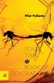 Fossil Time And Book Of Devorations
