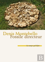 Fossile Directeur