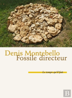Bertrand.pt - Fossile Directeur