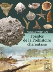 Fossiles De La Préhistoire Charentaise