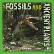 Fossils And Ancient Plants