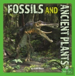 Bertrand.pt - Fossils And Ancient Plants