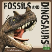 Fossils And Dinosaurs