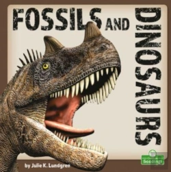 Bertrand.pt - Fossils And Dinosaurs