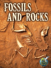 Fossils And Rocks