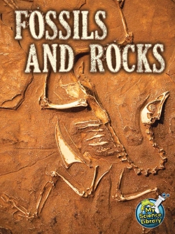 Bertrand.pt - Fossils And Rocks