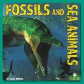 Fossils And Sea Animals