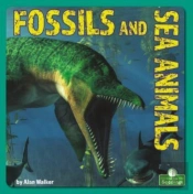 Fossils And Sea Animals