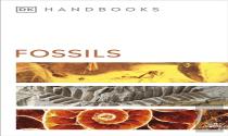 Fossils