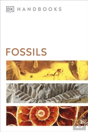 Fossils