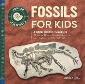 Fossils For Kids