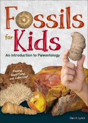 Fossils For Kids