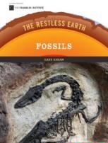 Fossils