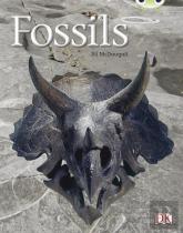 Fossils (Gold A ) 6-Pacg