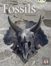 Fossils (Gold A ) 6-Pacg