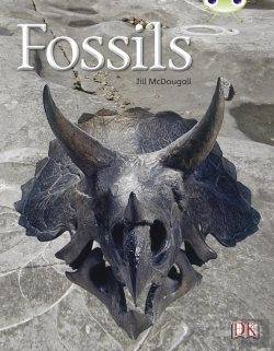 Bertrand.pt - Fossils (Gold A ) 6-Pacg