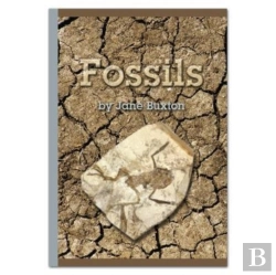 Bertrand.pt - Fossils