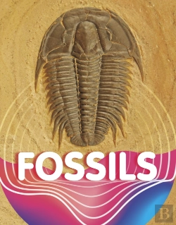 Bertrand.pt - Fossils