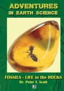 Fossils- Life In The Rocks