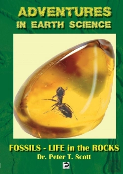 Bertrand.pt - Fossils- Life In The Rocks