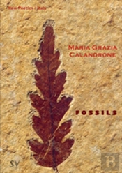 Fossils